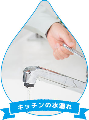 キッチンの水漏れ